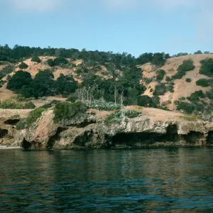 Santa Cruz Island, Pelican Bay