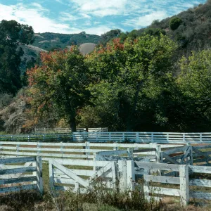 Santa Cruz Island, Prisoners Harbor