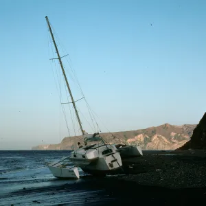 East end of Prisoners Harbor, Neon Rose" (Santa Cruz, California)"