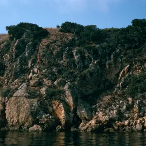 Santa Cruz Island, North shore, between Peliican Bay & Prisoners Harbor