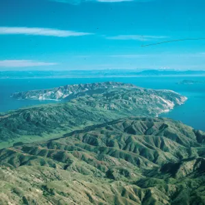 Santa Cruz Island, Central Valley