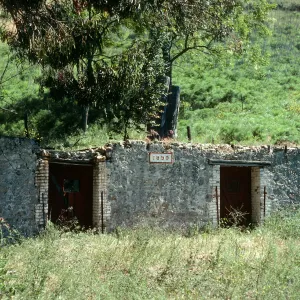 Santa Cruz Island, Stanton Ranch, ruins of Cantina Vieja""
