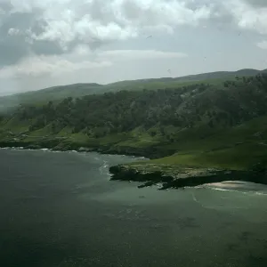Santa Rosa Island, Torrey Pines