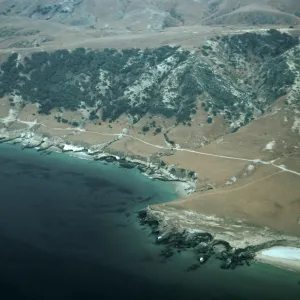 Santa Rosa Island, Torrey Pines