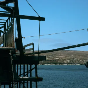 Santa Rosa Island, Beechers Bay, cattle chute, wharf