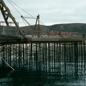 Santa Rosa Island, Vail Ranch, wharf