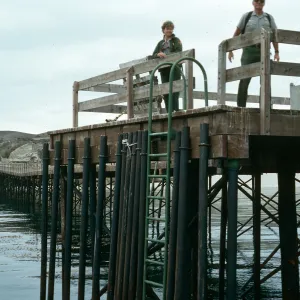 Santa Rosa Island, Vail Ranch, pier