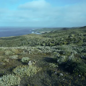 Natividad Island, view of South end, from North end of Ridge Road