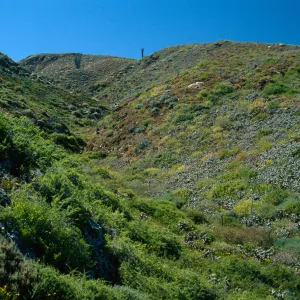 Natividad Island, canyon, Northeast side