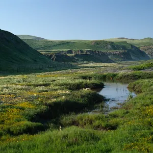 Santa Cruz Island, vernal pond, Christy Ranch