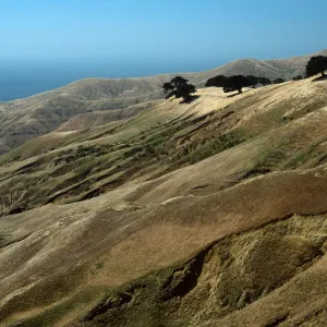 central Santa Rosa Island, erosion, island Oaks
