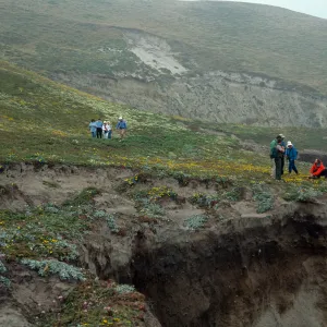 Santa Rosa Island, West side of Carrington Point