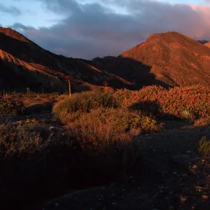 Cedros Island, dawn at Gran Cañon