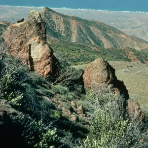 Cedros Island