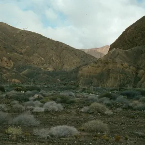 Cedros Island, Gran Cañon