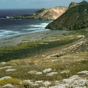 San Miguel Island, view of Harris Point & Lester Point