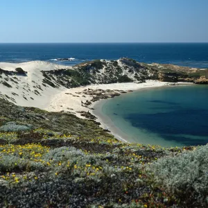 San Miguel Island, Otter Harbor