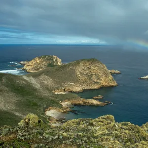 San Miguel Island, Harris Point, from Devils Knoll