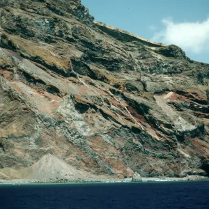 Guadalupe Island
