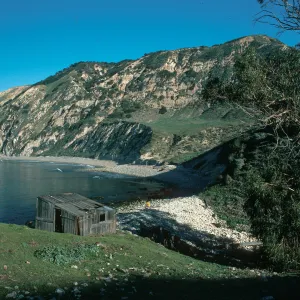 Santa Cruz Island, China Harbor, fishing shack