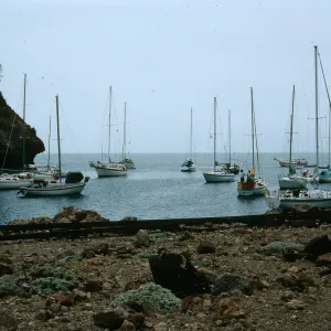 Santa Cruz Island, Frys Harbor