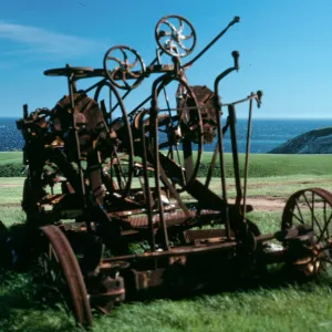 Santa Cruz Island, Smugglers airfield, old grader