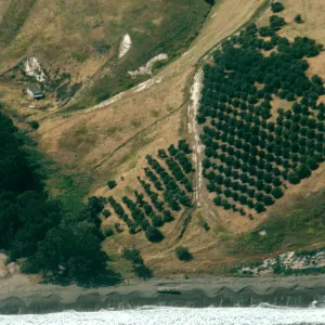 Santa Cruz Island, Smugglers Cove