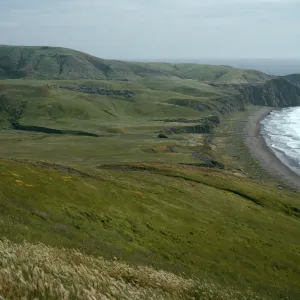 Santa Cruz Island, Christy Beach