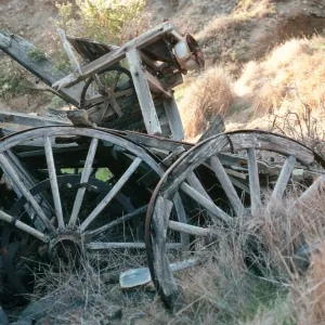 Santa Cruz Island, Wagon Gulch, near Christy Ranch