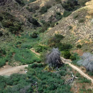 Santa Cruz Island, Rancho Del Sur