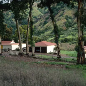 Santa Cruz Island, University of California field station