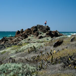 Eschscholzia ramosa habitat, Santa Cruz Island