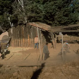 Guadalupe Island, loading goats, Cypress camp