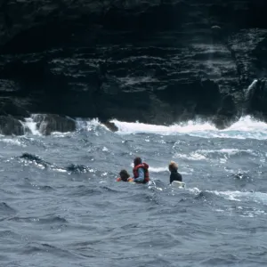 Guadalupe Island, landing, outer islet