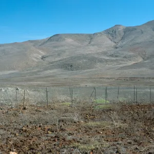 Guadalupe Island, airstrip enclosure