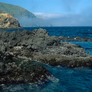 Middle Anacapa Island, looking west, sheep camp