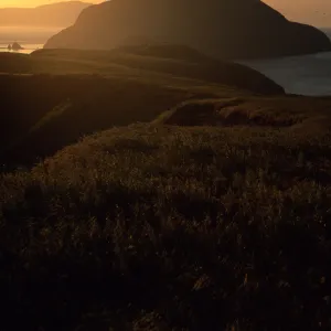 Middle Anacapa Island, looking west