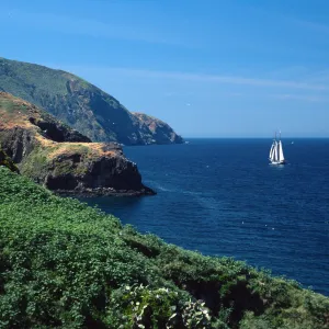 Middla Anacapa Island, tall ship “California”, looking west, sheep camp
