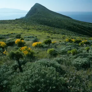 West Anacapa Island, Summit Peak from West flanks of Camel Peak