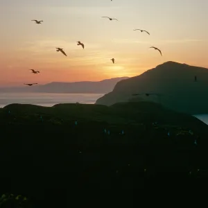 Middla Anacapa Island, sunset over West Anacapa & Santa Cruz Islands