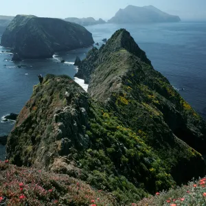 East Anacapa Island, Inspiration Point, looking west