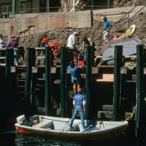 East Anacapa Island, landing