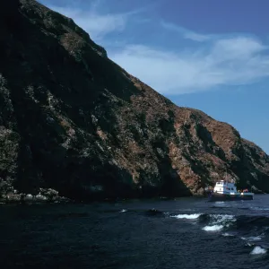 North Shore, Just West of Frenchy’s Cove, West Anacapa Island