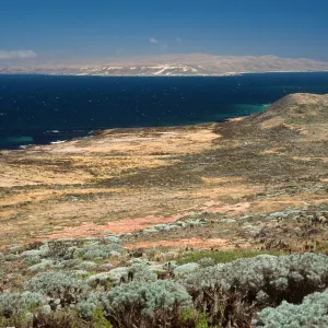 Coastal flats east of Hoffmann Point, San Miguel Island
