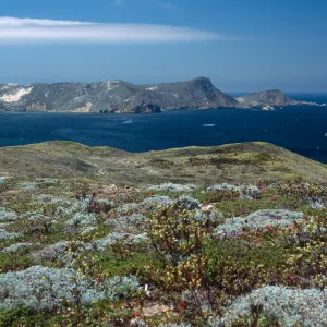 Looking west from West side of Hoffmann Point, San Miguel Island