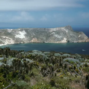 Cuyler Harbor, from Cabrillo Monument, San Miguel Island