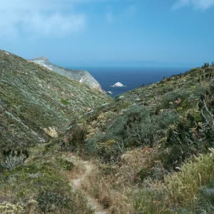 San Miguel Island, Canon del Mar