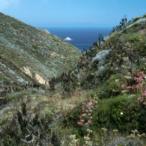 San Miguel Island, Canon del Mar