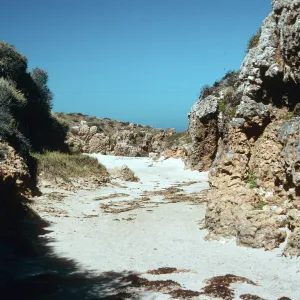 Willow Canyon, San Miguel Island