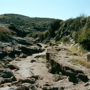 Willow Canyon, San Miguel Island